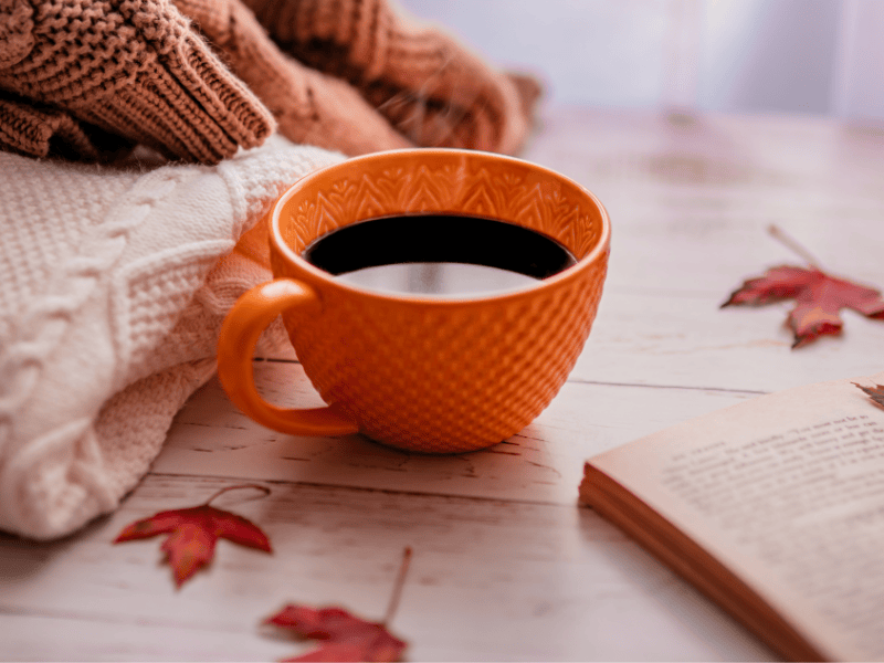 Mes lectures doudou pour l&rsquo;automne 2026 : cosy, witchy et un peu&nbsp;sombres