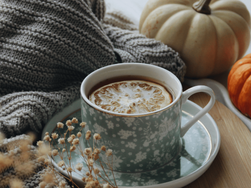 Un Halloween cosy & créatif : lectures, films, écriture et DIY pour une soirée&nbsp;réconfortante